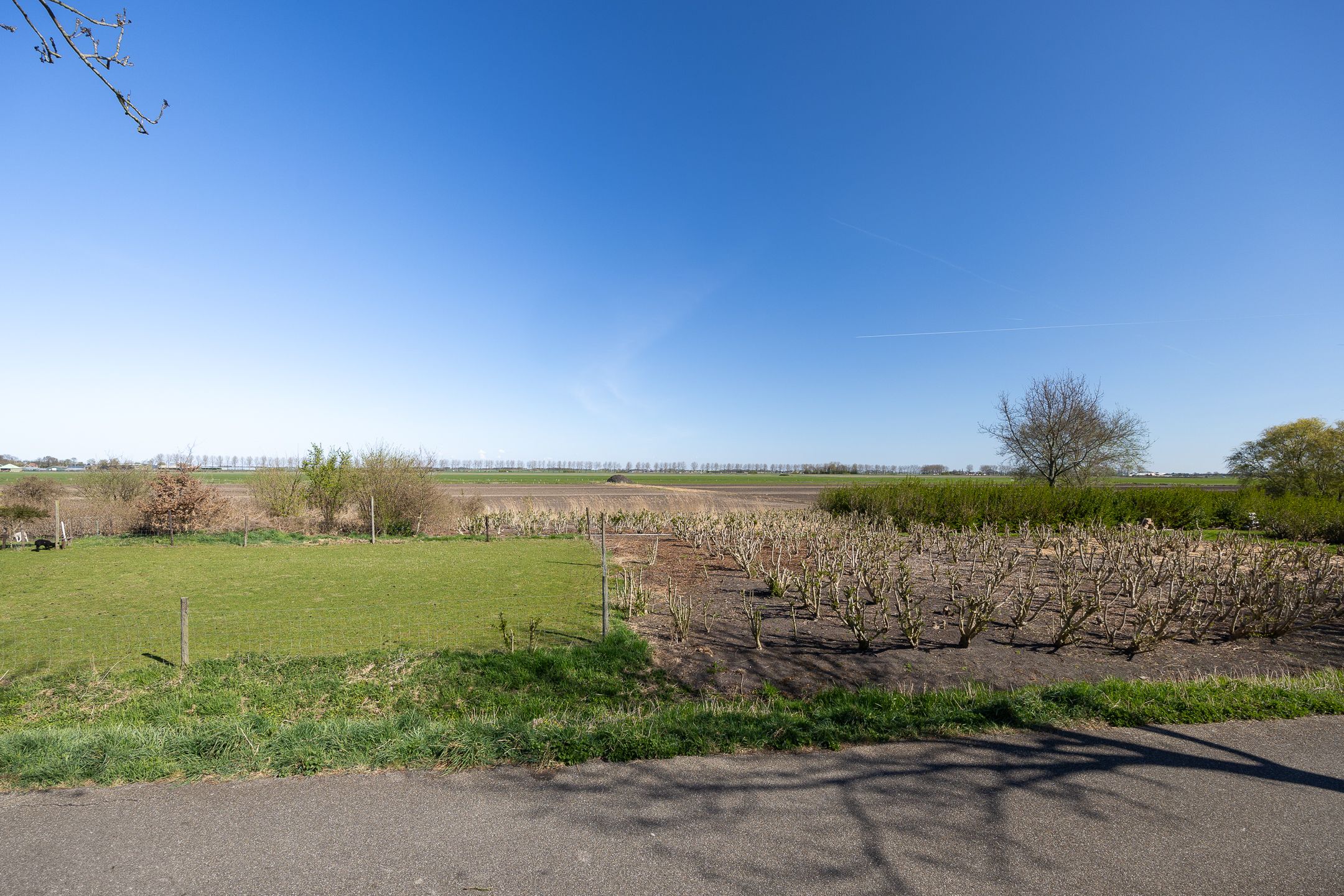 Foto 33 van Jeltje de Bosch Kemperstraat 207