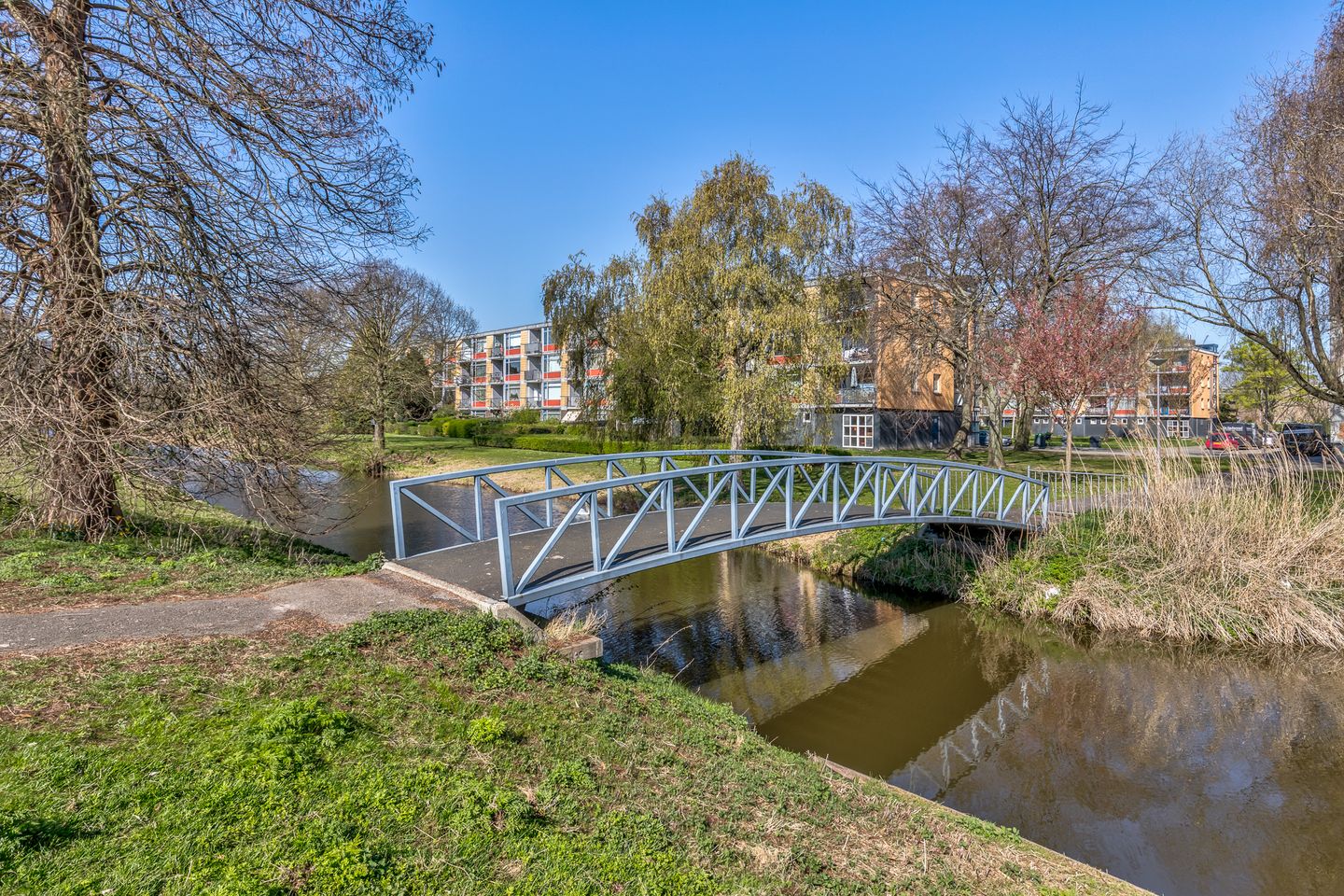 Foto 29 van Dreessingel 24