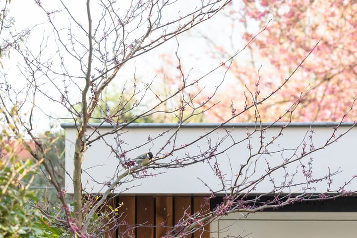 Foto 41 van Adriaen Beyerkade 4