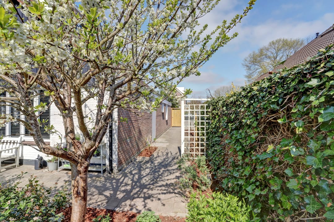 Foto 41 van Grote Plaat 33