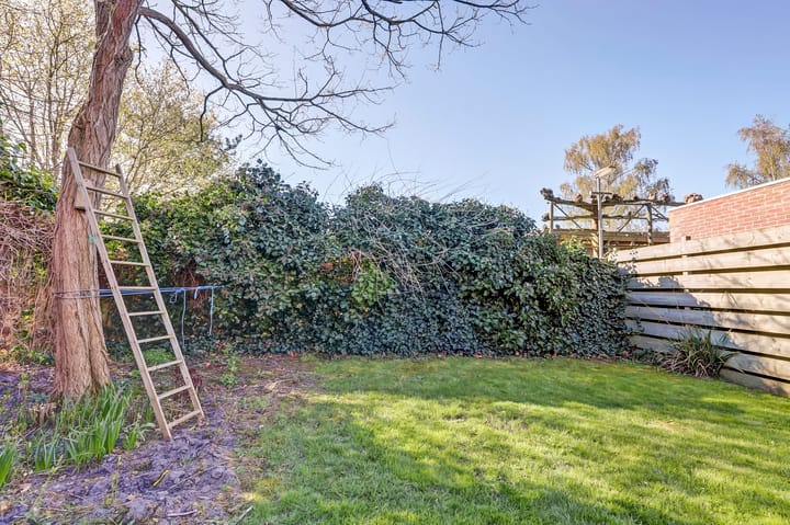 Foto 20 van Willemsstraat 15