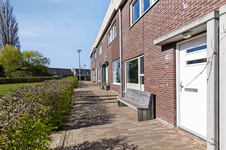 Photo 6 of Prinses Amaliaplantsoen 38