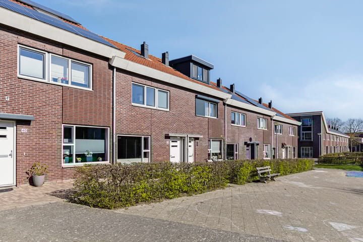 Photo 33 of Prinses Amaliaplantsoen 38