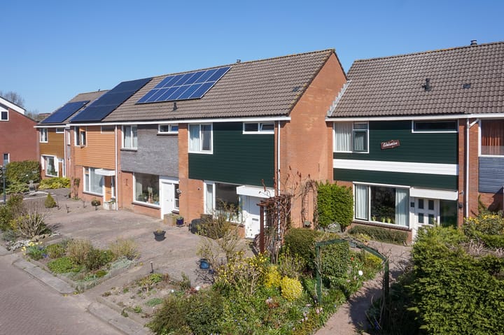 Photo 40 of Briljant 77