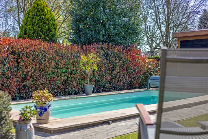 Foto 37 van Adenauerlaan 84