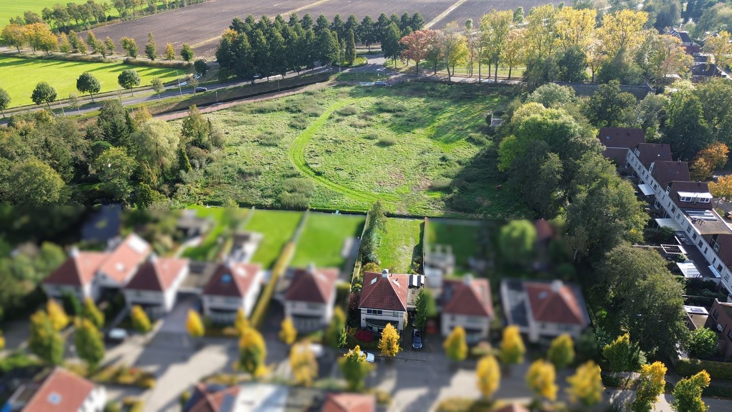 Foto 1 van Luzernevlinder 161