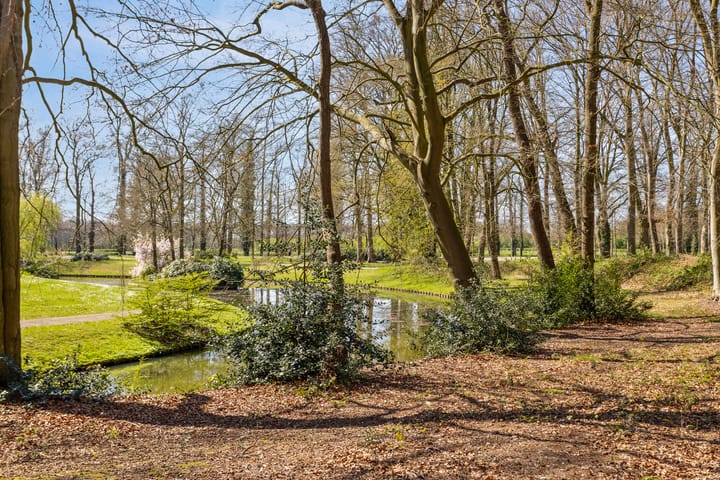 Foto 92 van Haneweg 6