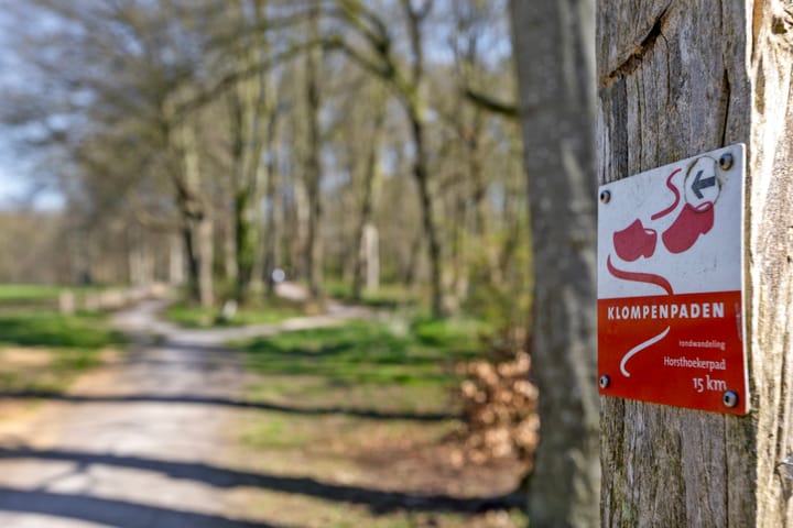 Foto 93 van Haneweg 6