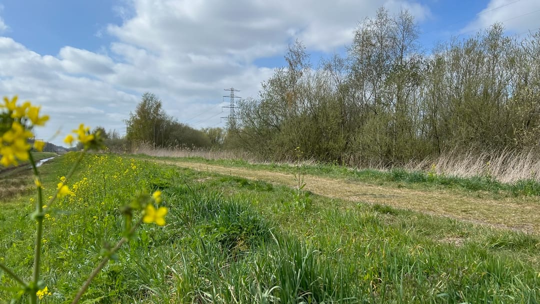 Foto 77 van Het Lage Holt 10