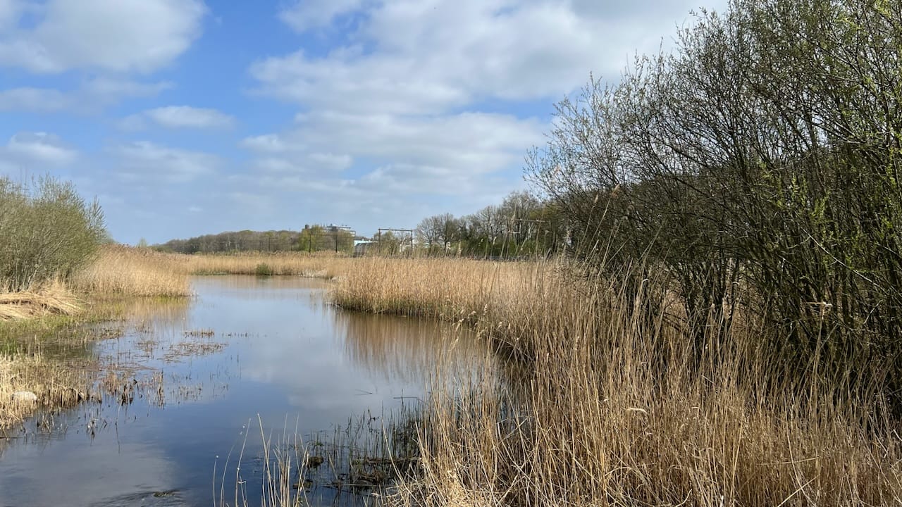 Foto 80 van Het Lage Holt 10