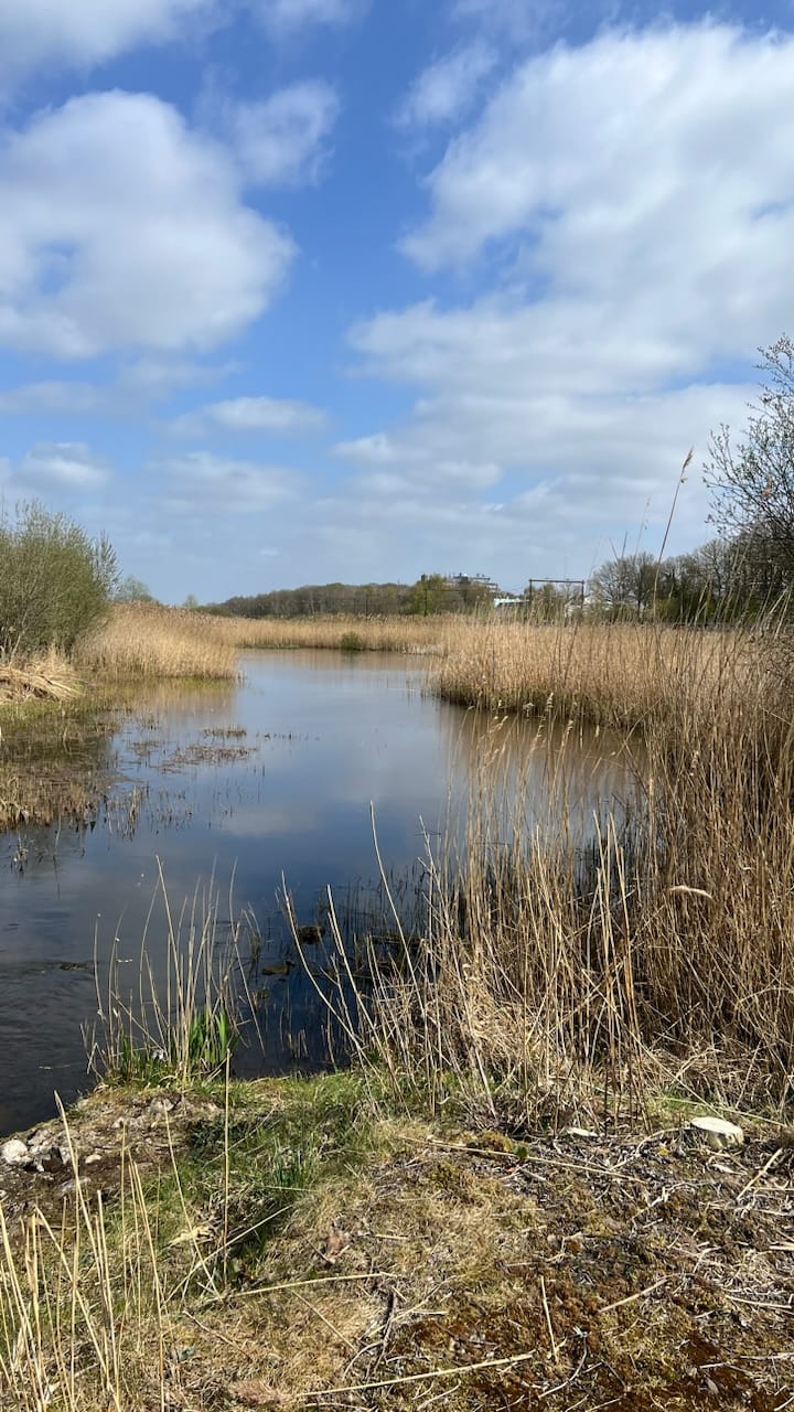 Foto 81 van Het Lage Holt 10