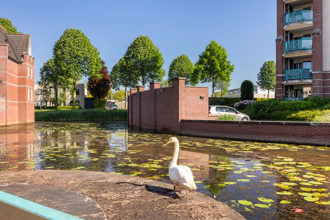 Foto 38 van Het Kasteel 309