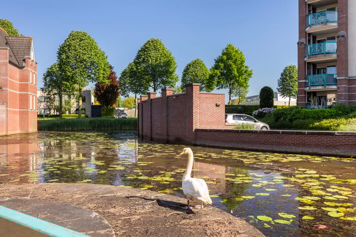 Foto 38 van Het Kasteel 309