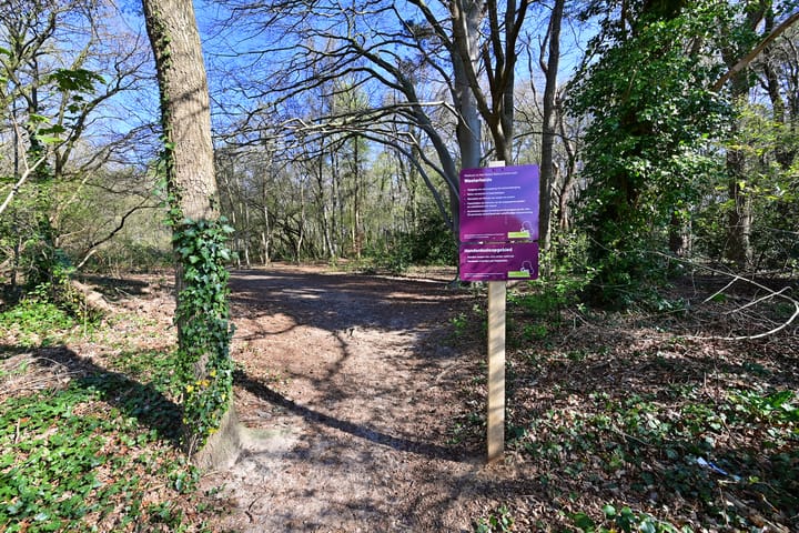 Foto 4 van Erfgooiersstraat 551