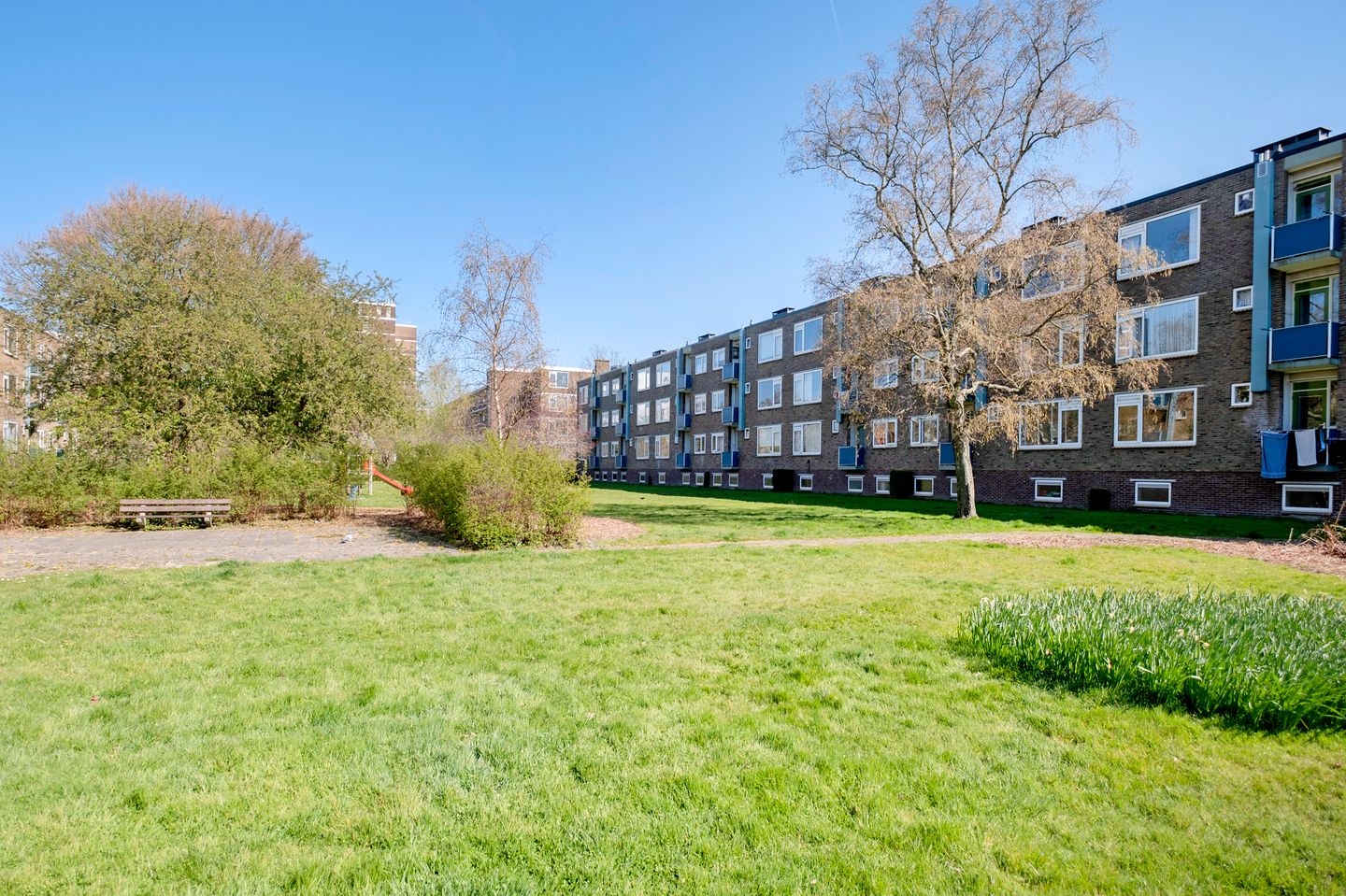 Foto 4 van Paterswoldseweg 367