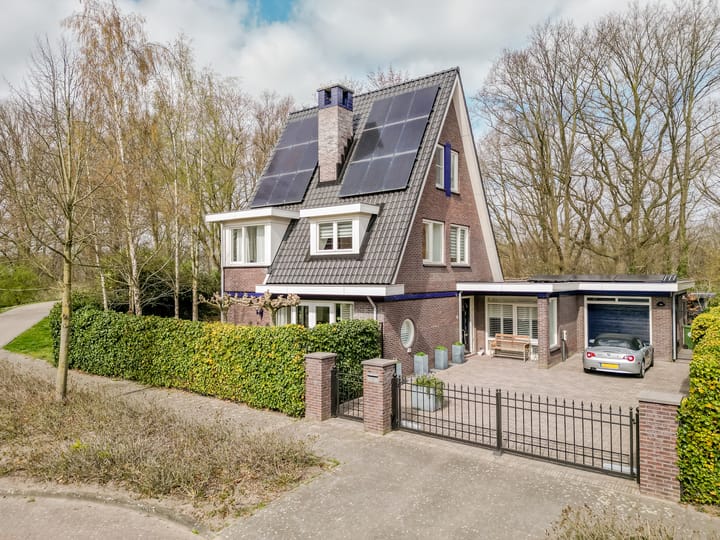 Foto 2 van Dagpauwoog 34