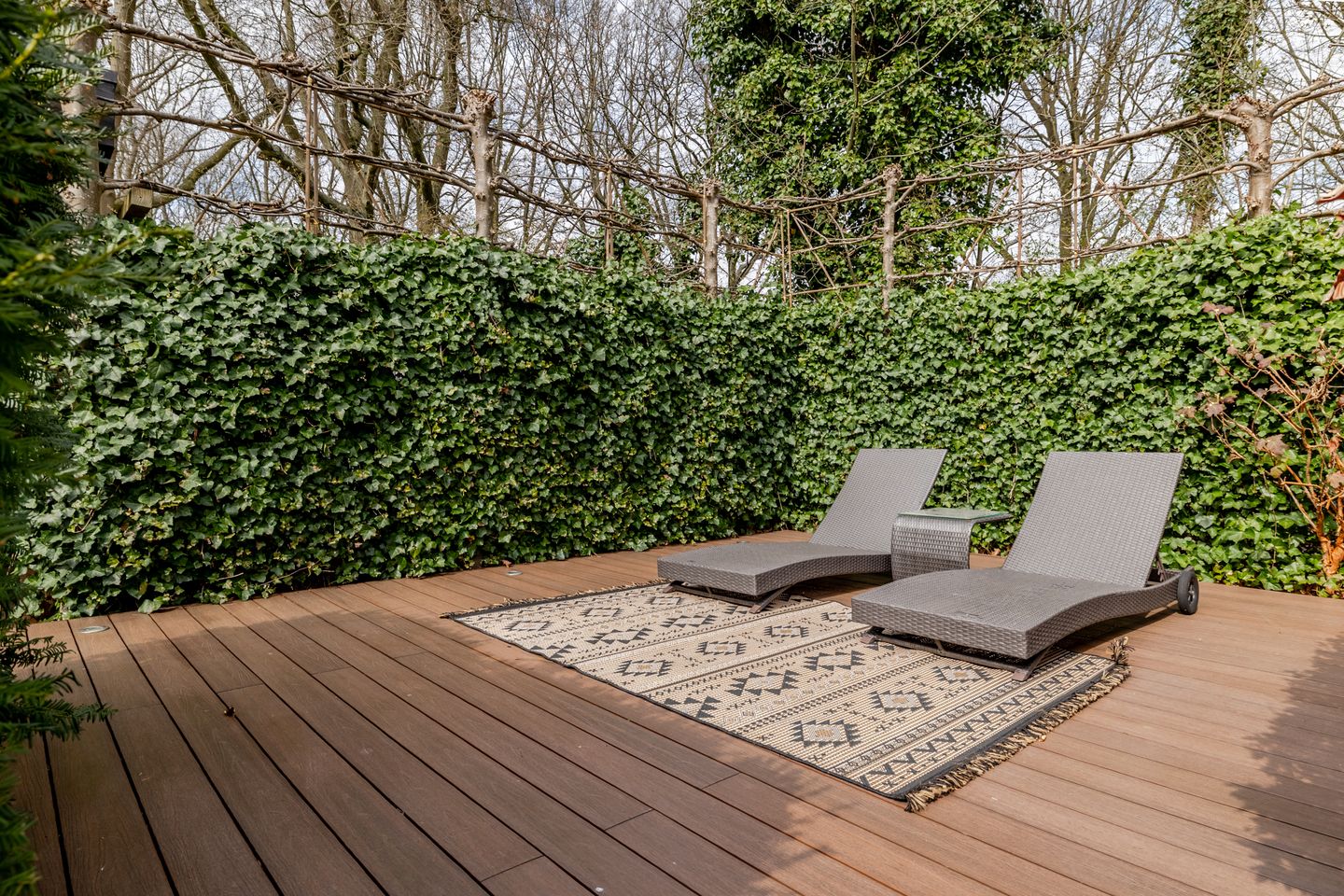 Foto 25 van Dagpauwoog 34