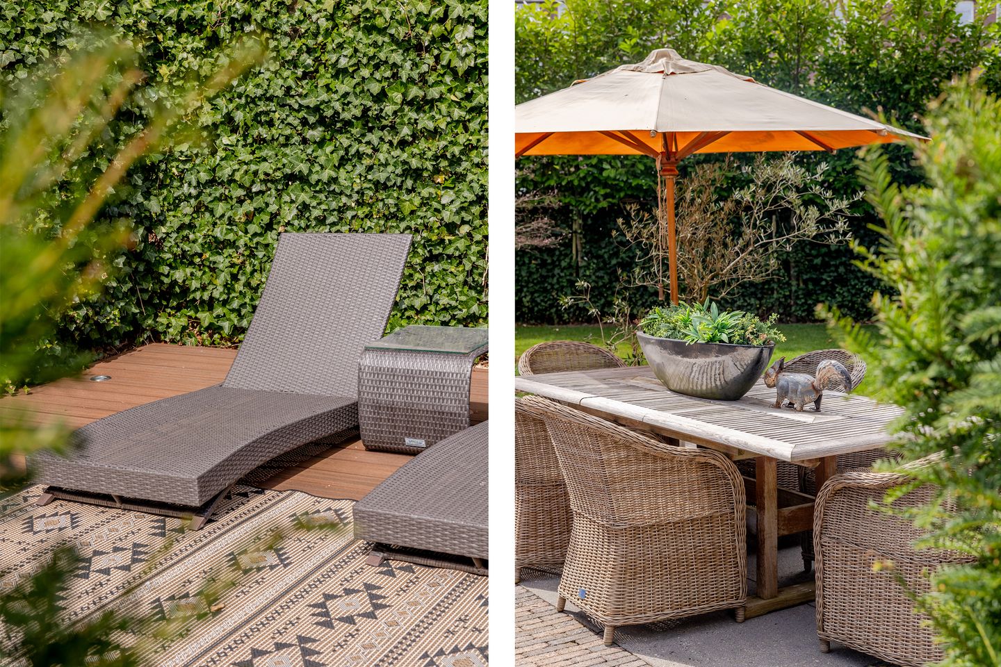 Foto 29 van Dagpauwoog 34