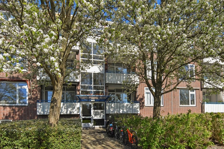 W.H. van Leeuwenlaan 102