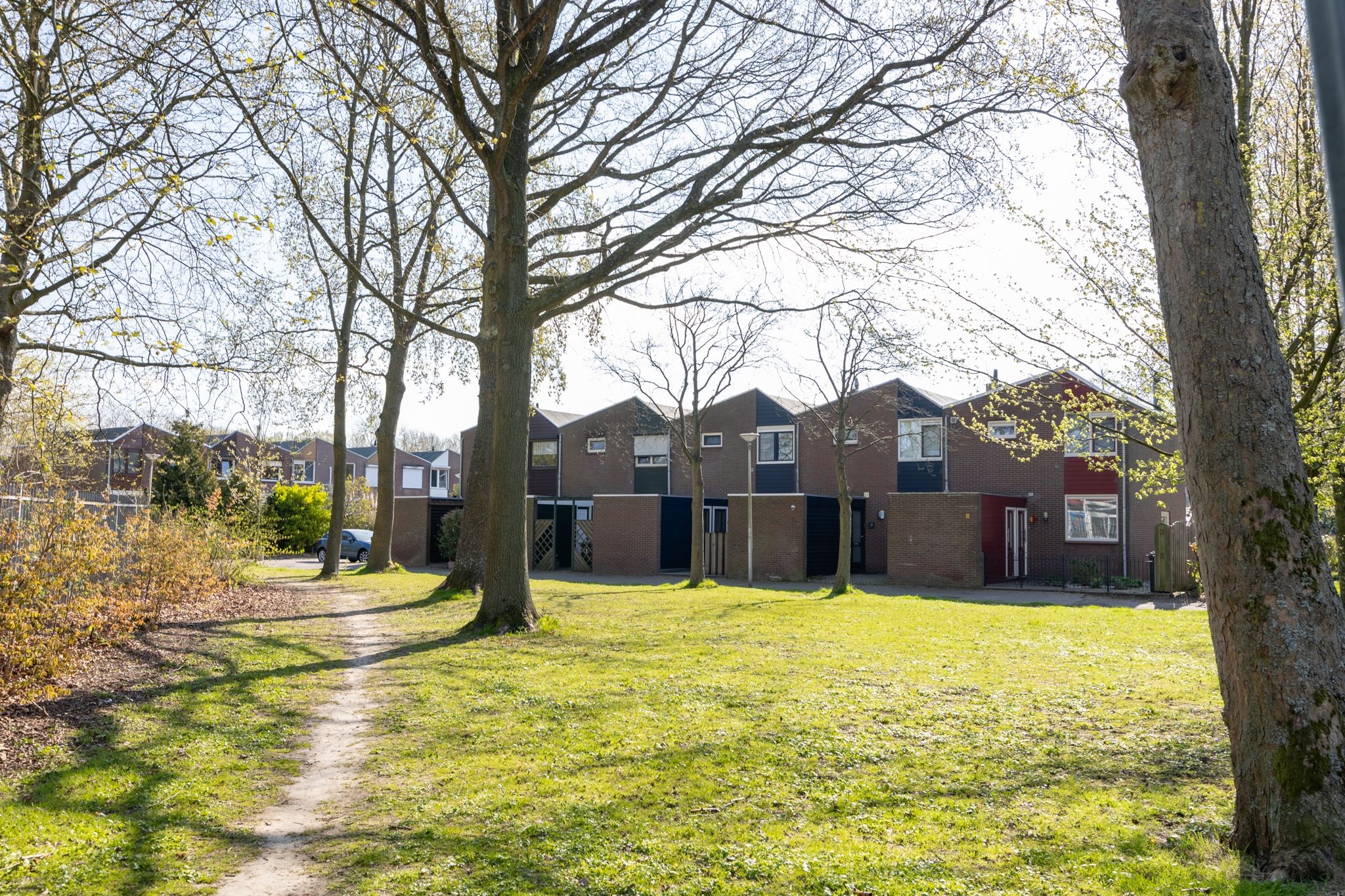 Foto 6 van de Wijngaard 13