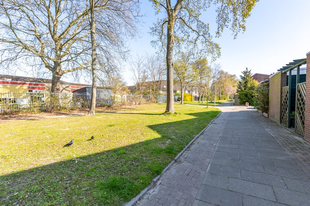 Foto 23 van de Wijngaard 13