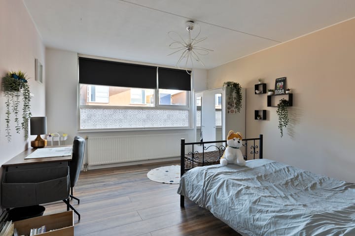 Foto 18 van Pitrus 51