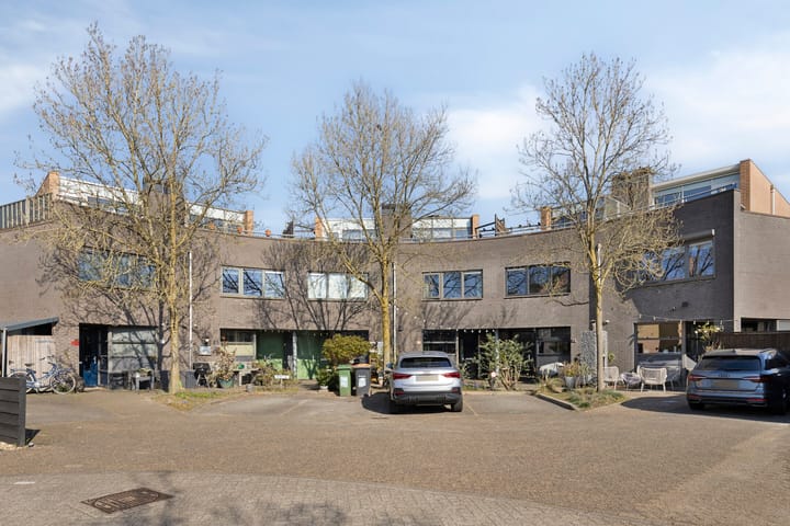 Foto 7 van Pitrus 51