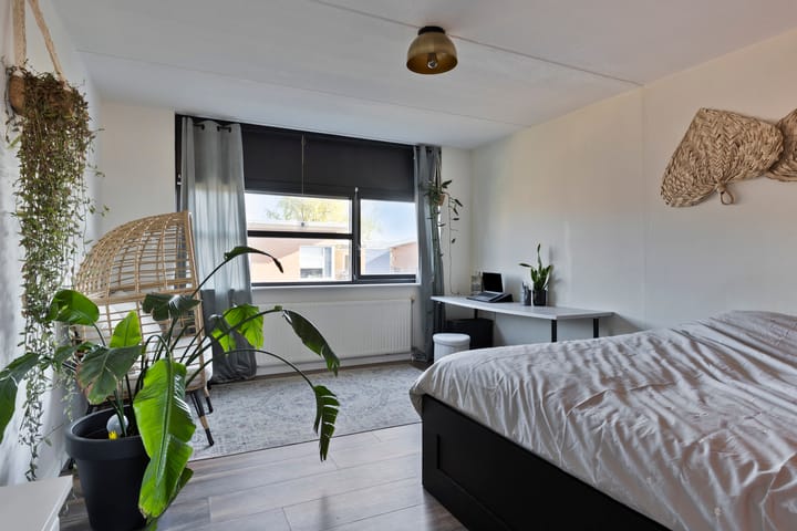 Foto 26 van Pitrus 51