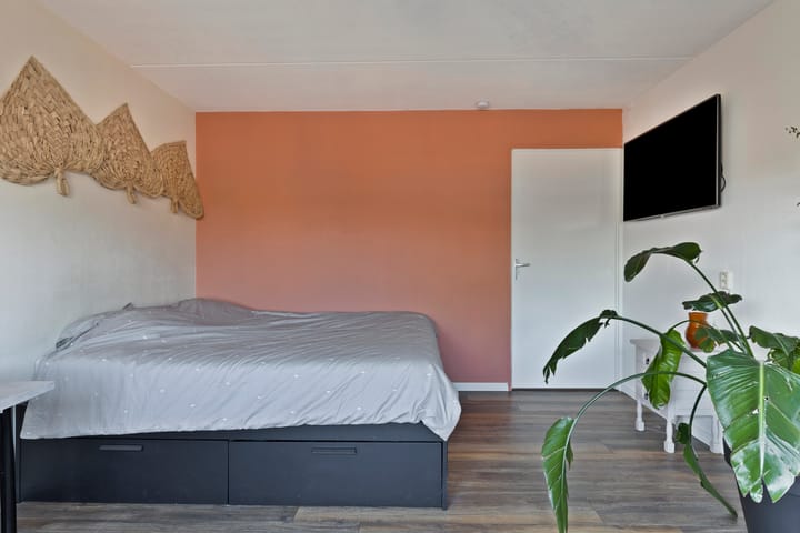 Foto 27 van Pitrus 51