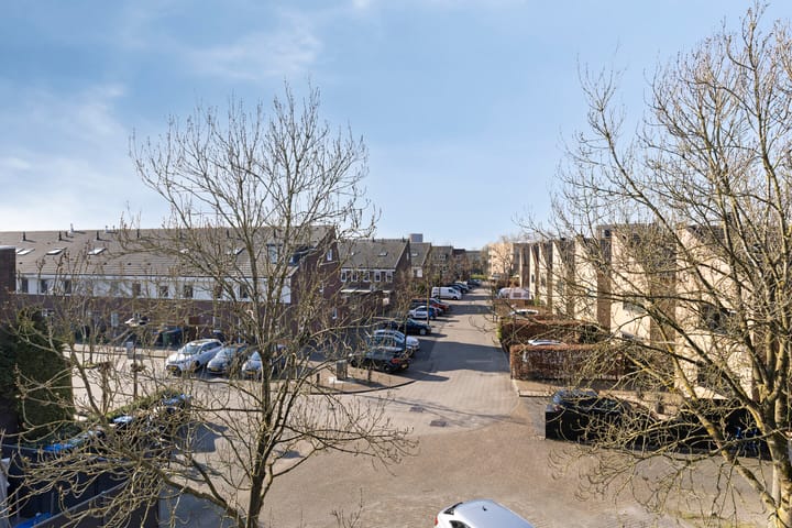 Foto 30 van Pitrus 51