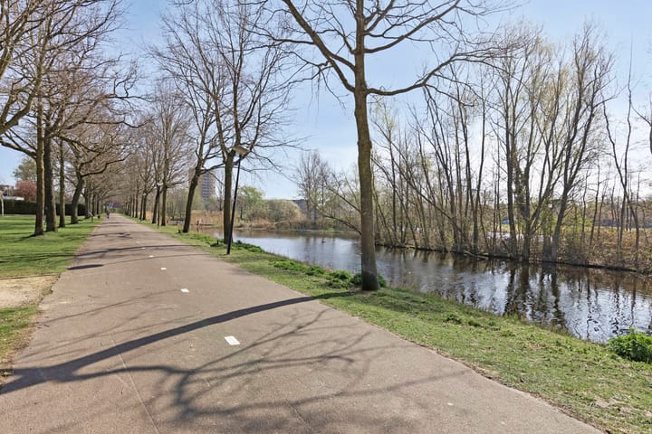 Foto 37 van Pitrus 51