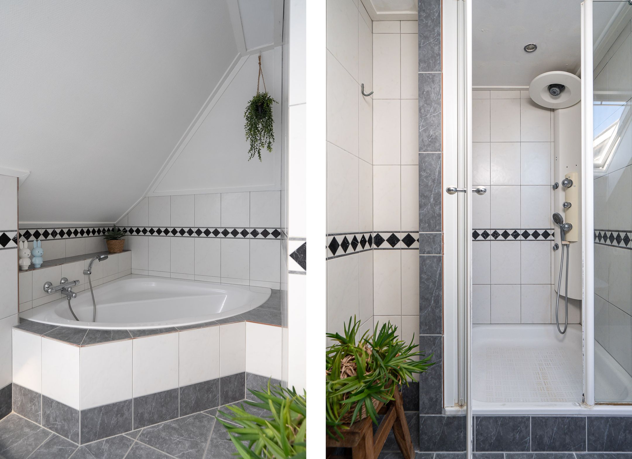 Foto 54 van Grote Buren 4