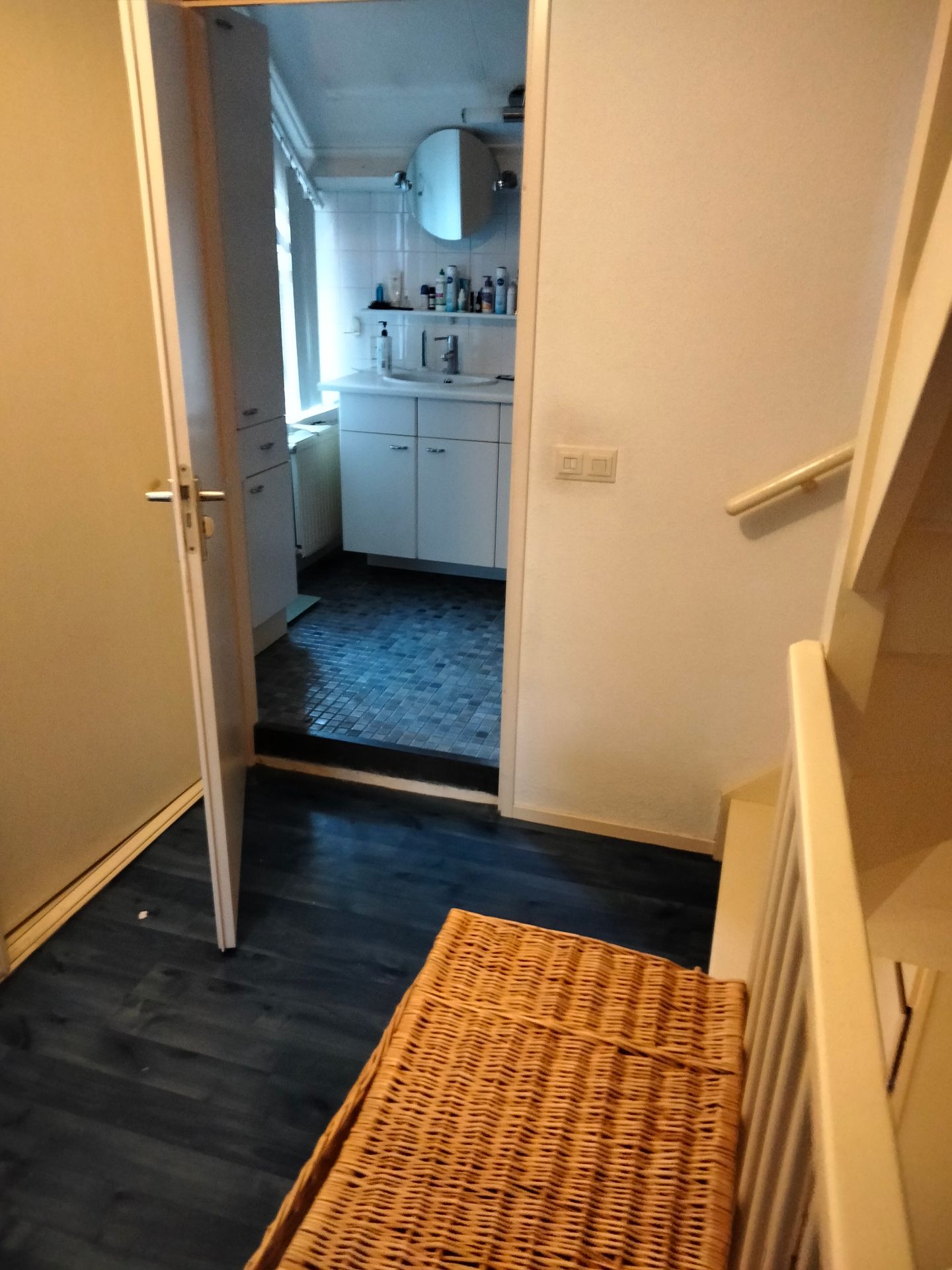 Foto 20 van Willem Dreeslaan 6