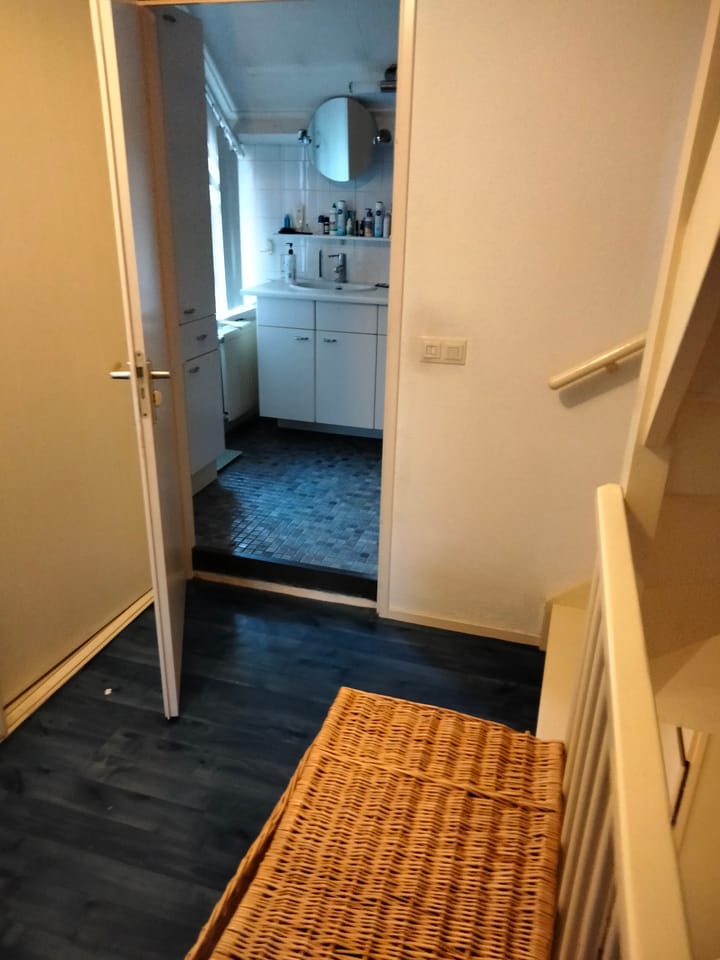 Foto 20 van Willem Dreeslaan 6