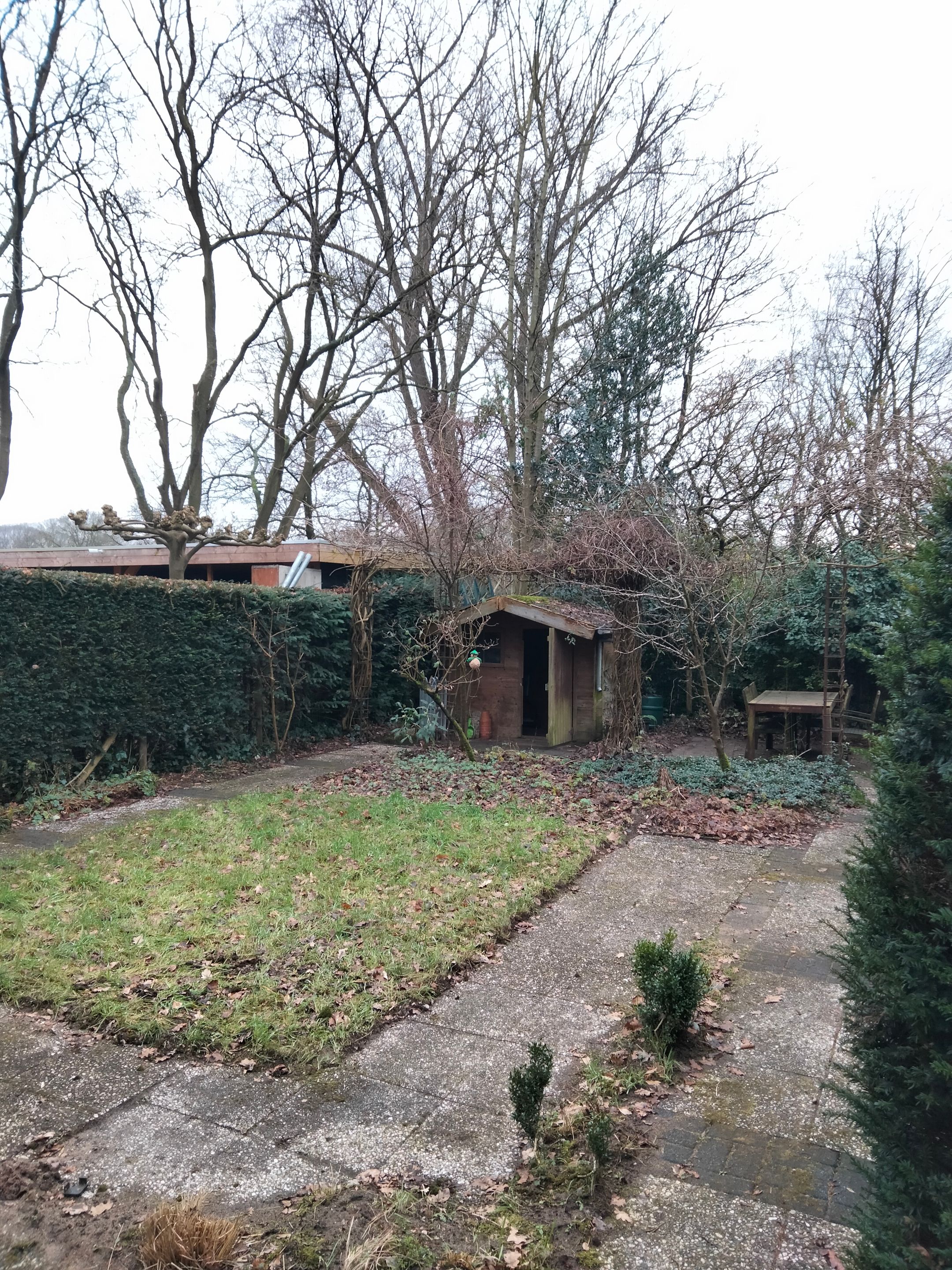 Foto 27 van Willem Dreeslaan 6