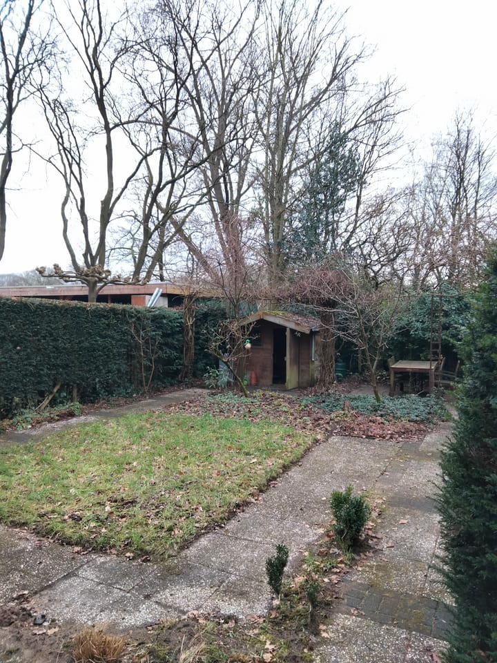 Foto 27 van Willem Dreeslaan 6