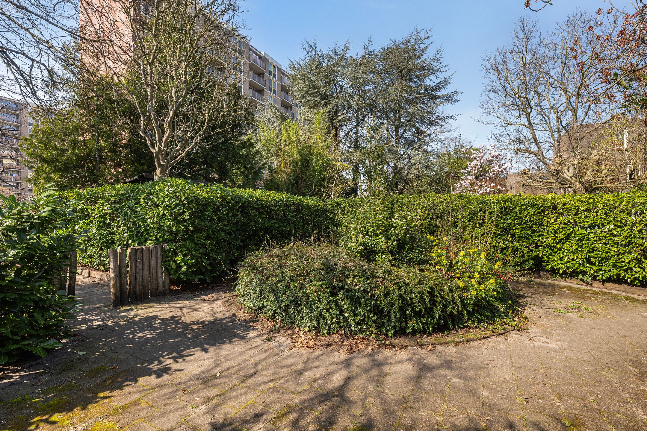 Photo 36 of Grotekreek 7