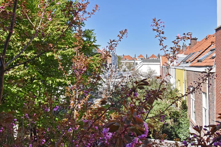 Foto 33 van Bazarlaan 36