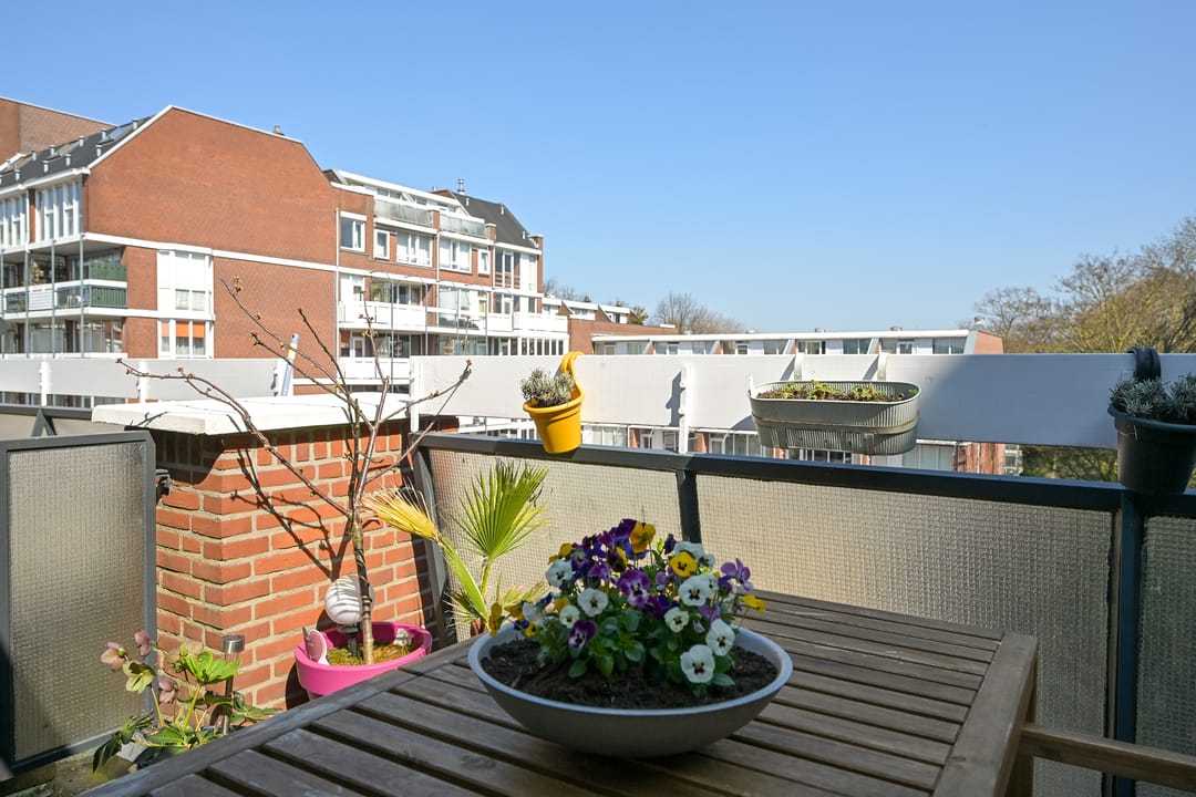 Photo 43 of Frederikstraat 557