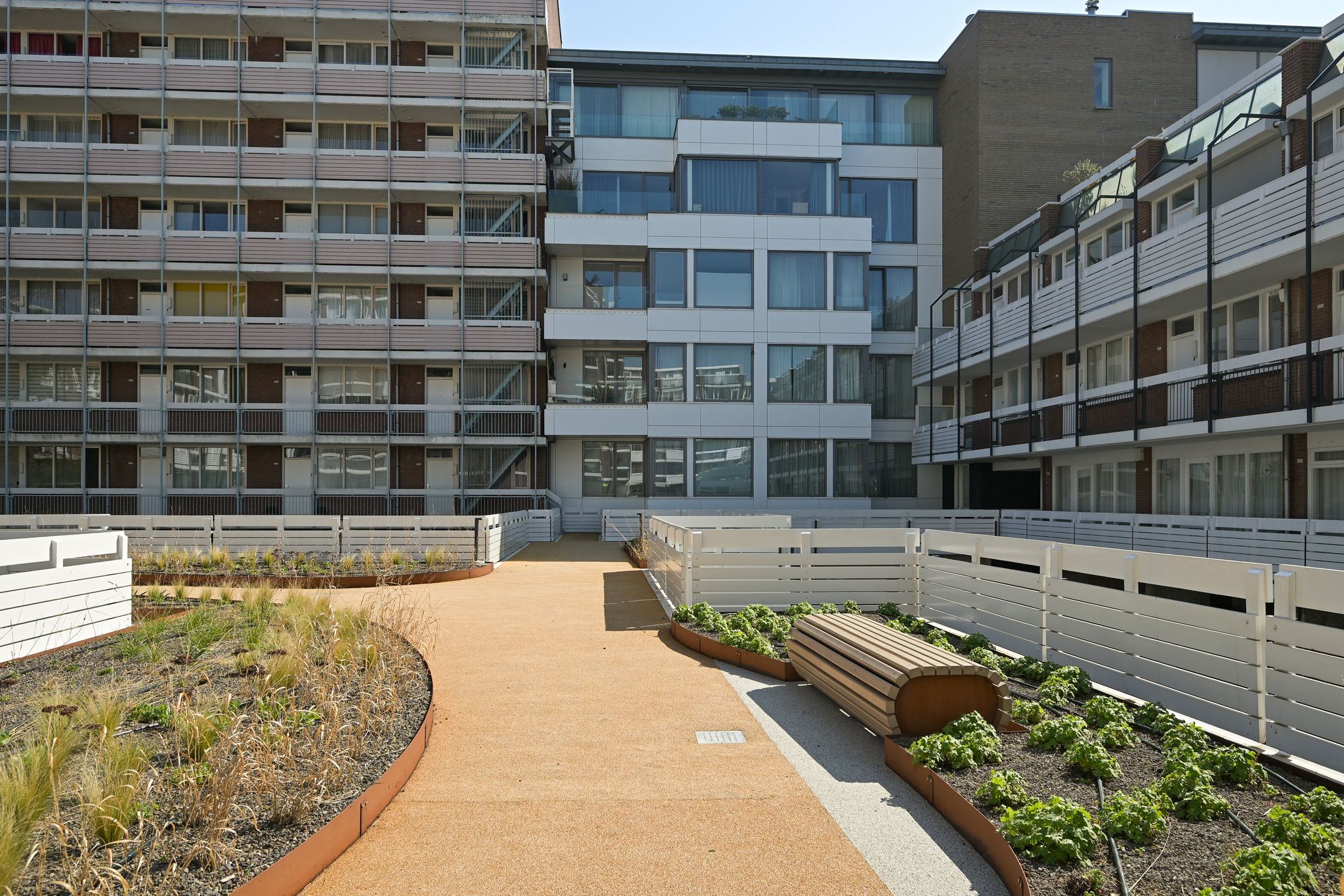 Photo 48 of Frederikstraat 557