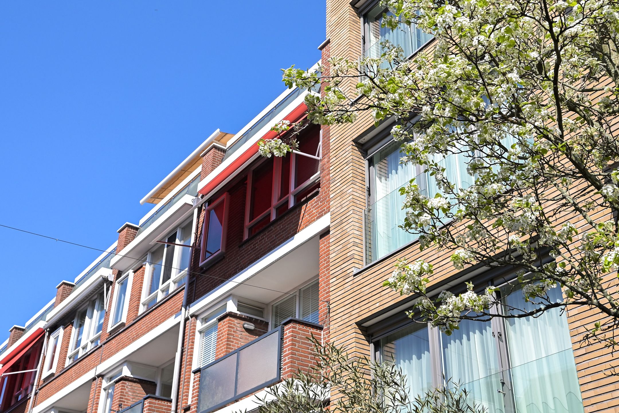 Photo 54 of Frederikstraat 557