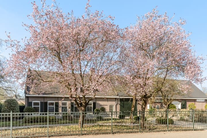 Foto 4 van Pagelaan 5