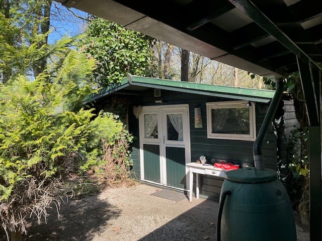 Foto 11 van Kievit 12-B034