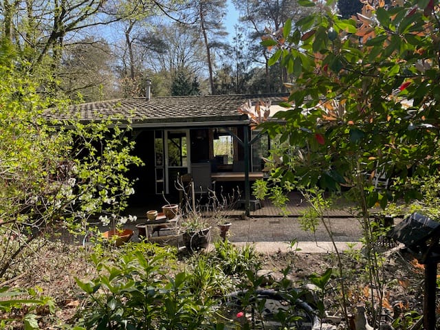 Foto 16 van Kievit 12-B034