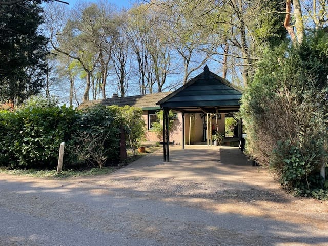 Foto 19 van Kievit 12-B034