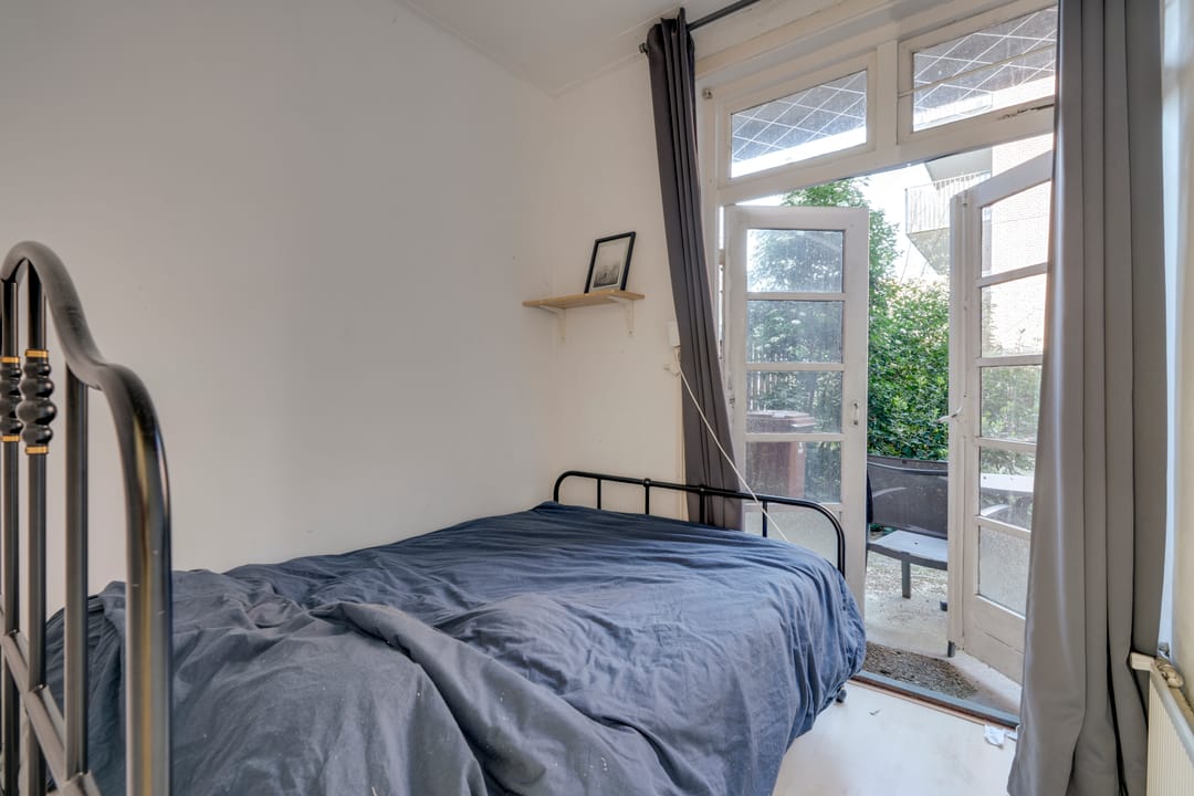 Foto 8 van Laan van Nieuw-Guinea 5