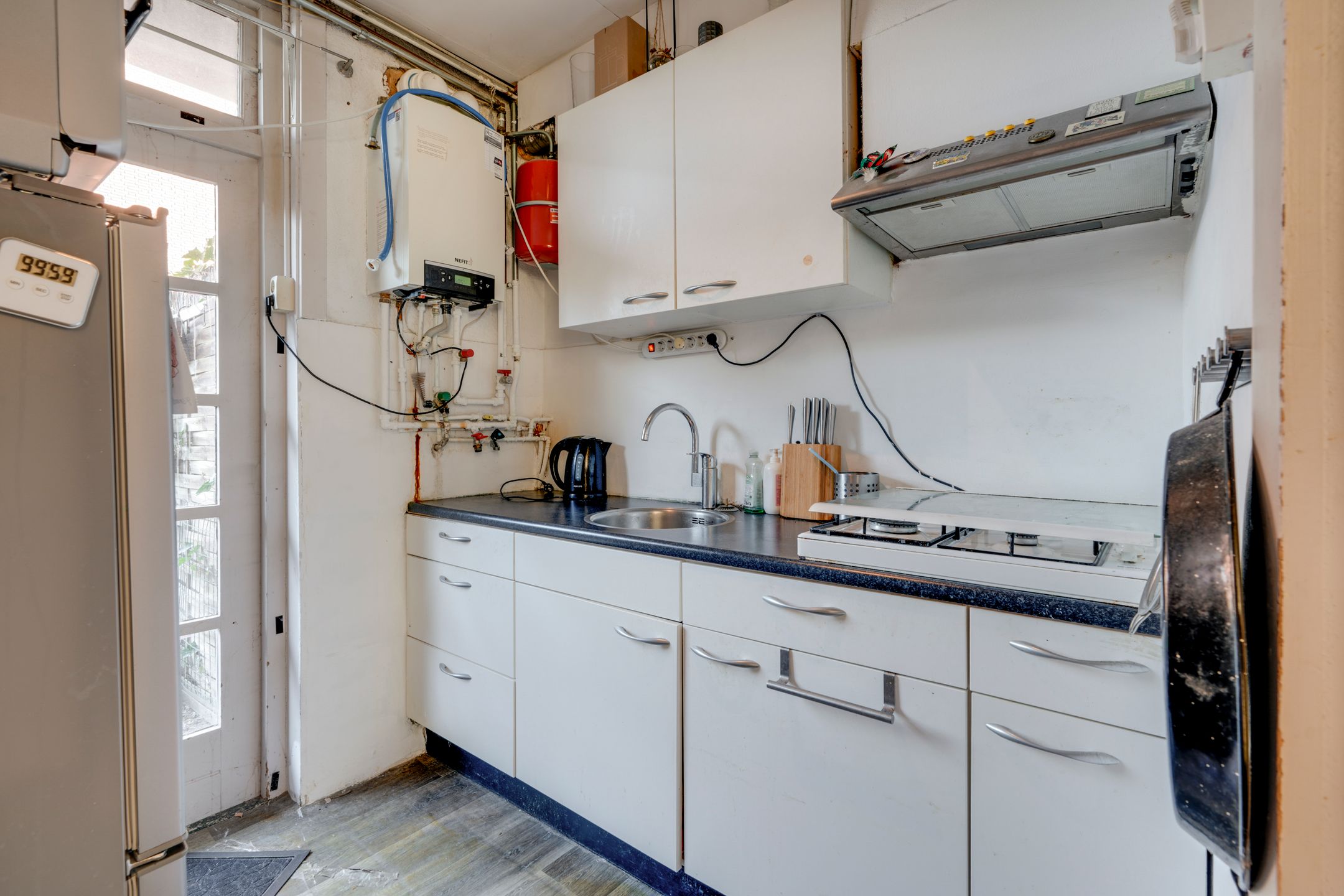 Foto 12 van Laan van Nieuw-Guinea 5