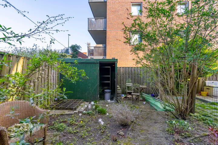 Foto 3 van Laan van Nieuw-Guinea 5