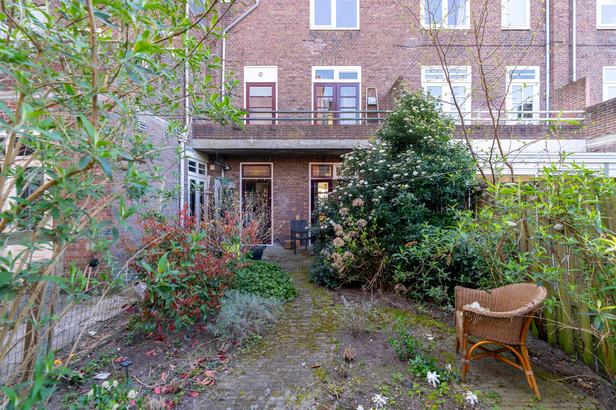 Foto 15 van Laan van Nieuw-Guinea 5