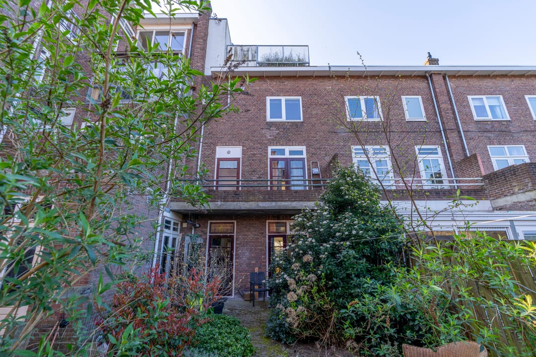 Foto 16 van Laan van Nieuw-Guinea 5